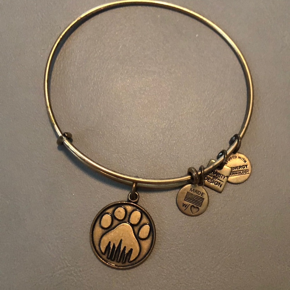 Alex and Ani Bangle